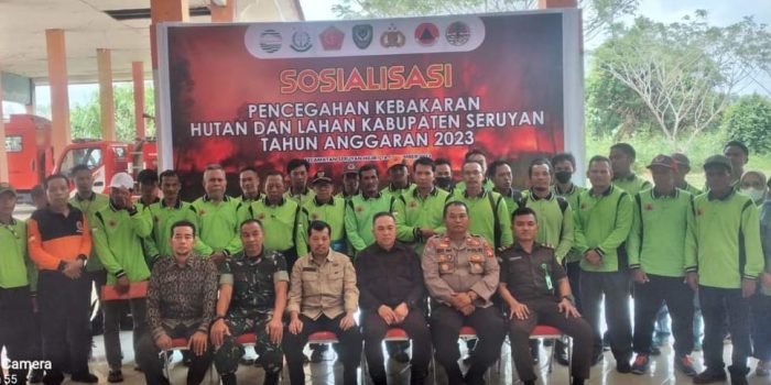 sosialisasi