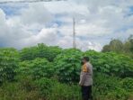 IMG-20250220-WA0025