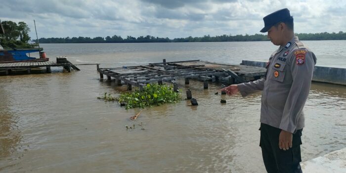 IMG-20250413-WA0011