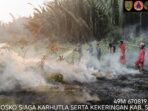 IMG-20260813-WA0043