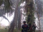 IMG-20260822-WA0024