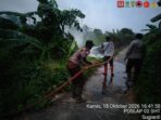 SAVE_20261016_121149